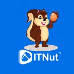 IT Nut Hosting Review – Best Web Hosting Company