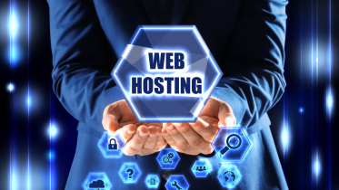 how much does web hosting cost