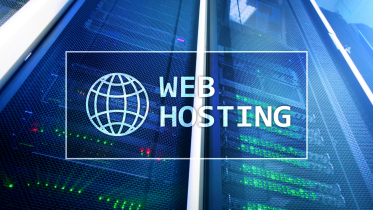 why web hosting is important