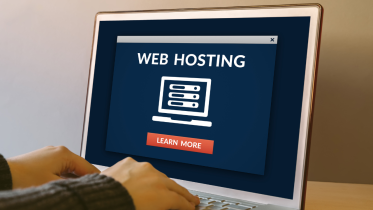 how big is the web hosting market