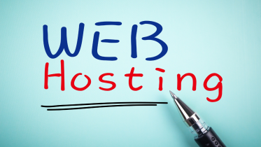 what is adult web hosting