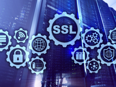 What is SSL? The Ultimate Guide to Secure Sensitive Data