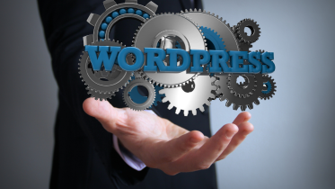 what is the difference between wordpress hosting and web hosting