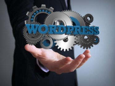 What is the Difference Between WordPress Hosting and Web Hosting