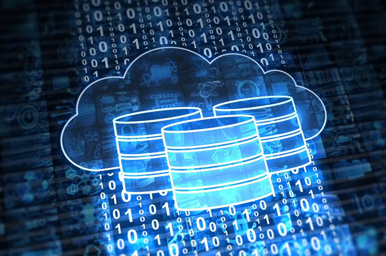 what is web hosting server