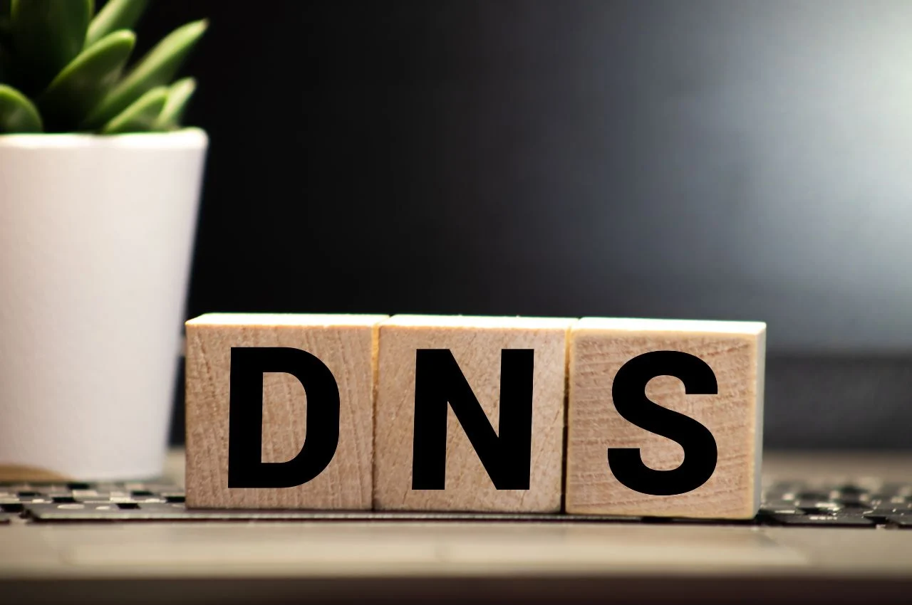 what is a domain name server