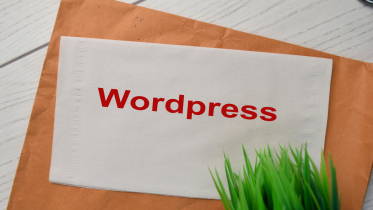 is wordpress best for SEO?