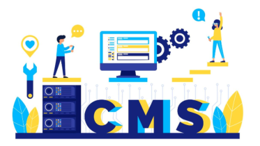 what are CMS plugins