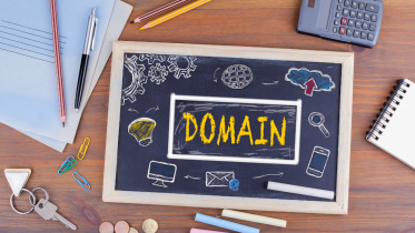 who owns domain name