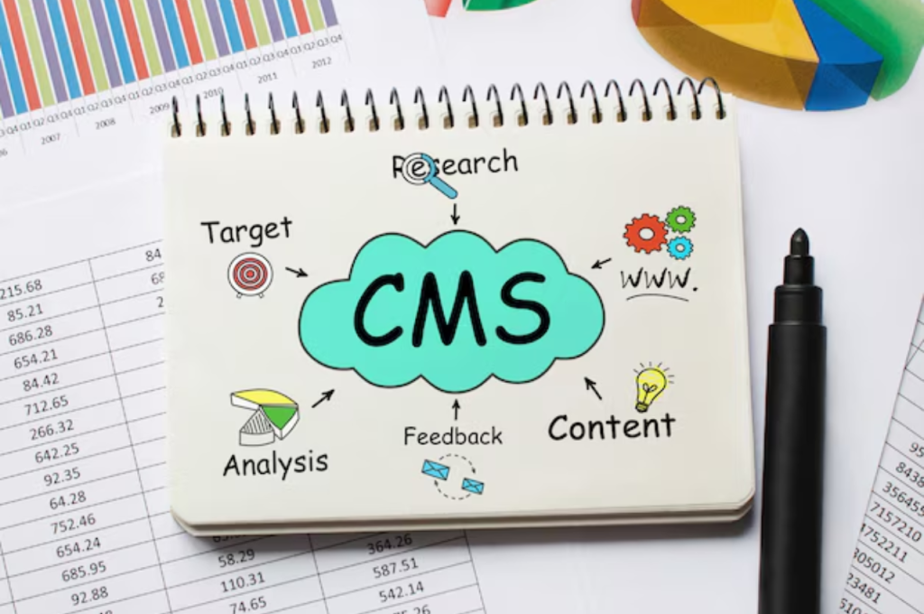 what are CMS plugins