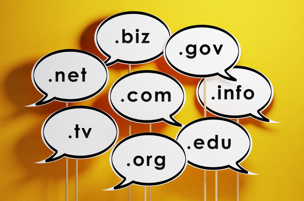 who owns domain name