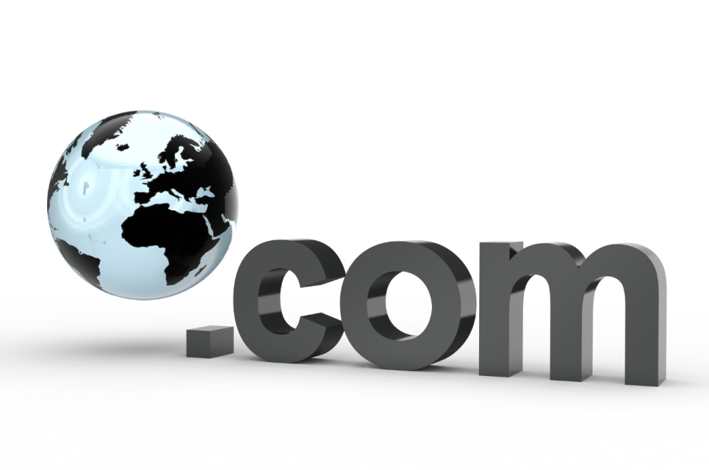 who owns domain name